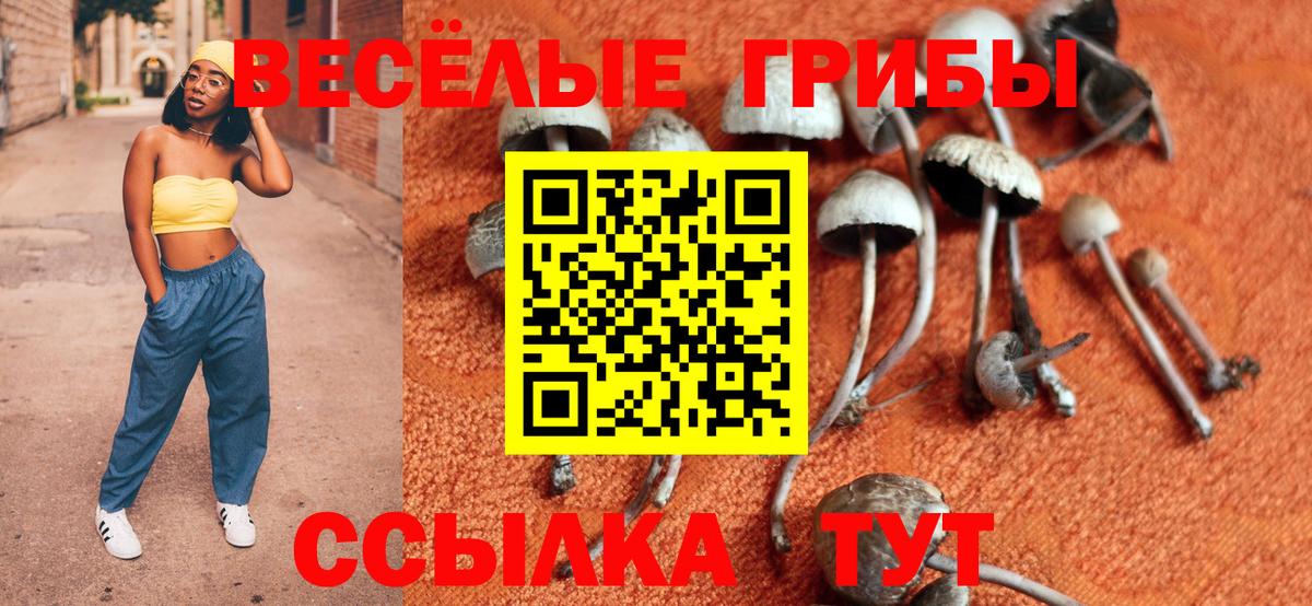 Галлюциногенные грибы Cubensis Дедовск
