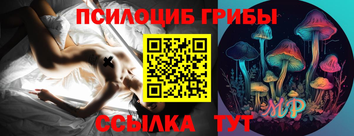 Псилоцибиновые грибы Psilocybe  Вход с VPN  где можно купить наркотик  Псилоцибиновые грибы MAGIC MUSHROOMS  Дедовск 